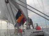 DSC07591 linge 